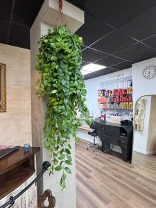 c92203ed d6b2 4fb1 820b 1707a1d431b1