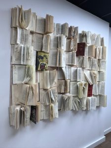 db6d1ce9 471e 468b 828f cdc0451b4f0d