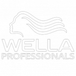 Home wella removebg preview